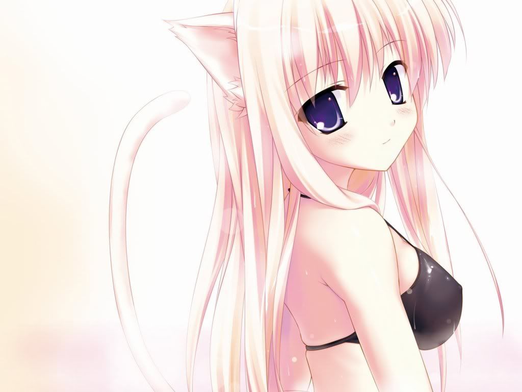 Anime Neko Girl Photo By Nekogirl1111 Photobucket